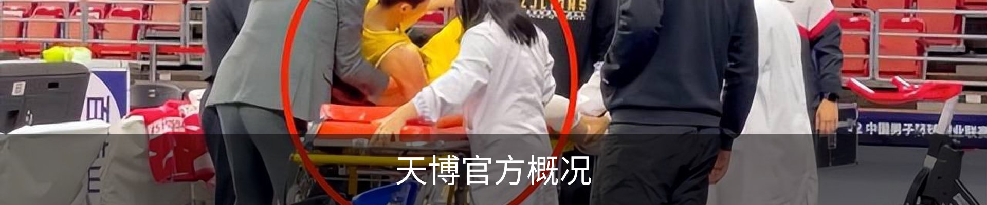 天博官方概况